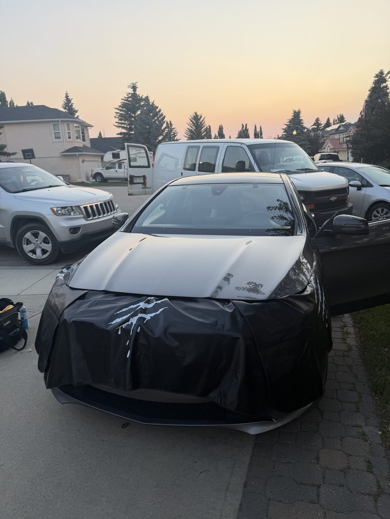 Hood and cowl covered before anything is cut.