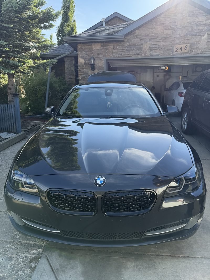 BMW. Driveway replacement under the trees.